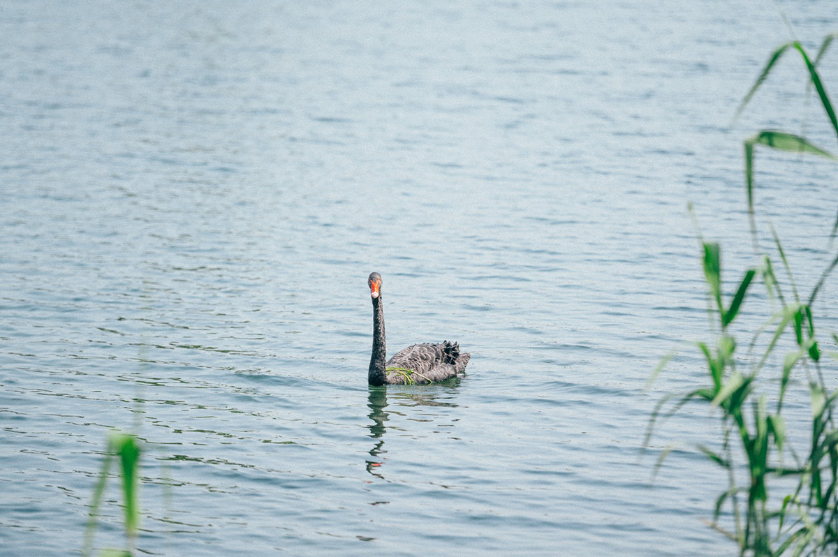 1689040298668128.jpg 1688969190105313.jpg