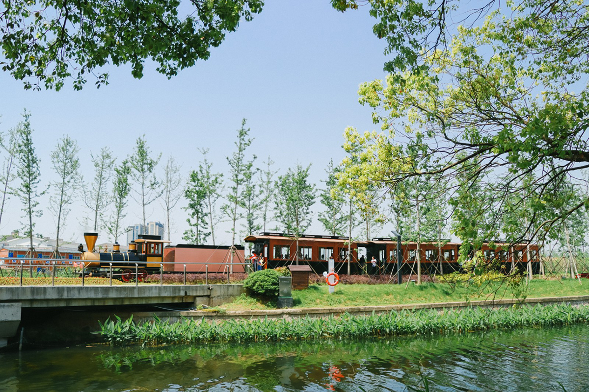 1689040321375548.jpg 1688969416277299.jpg