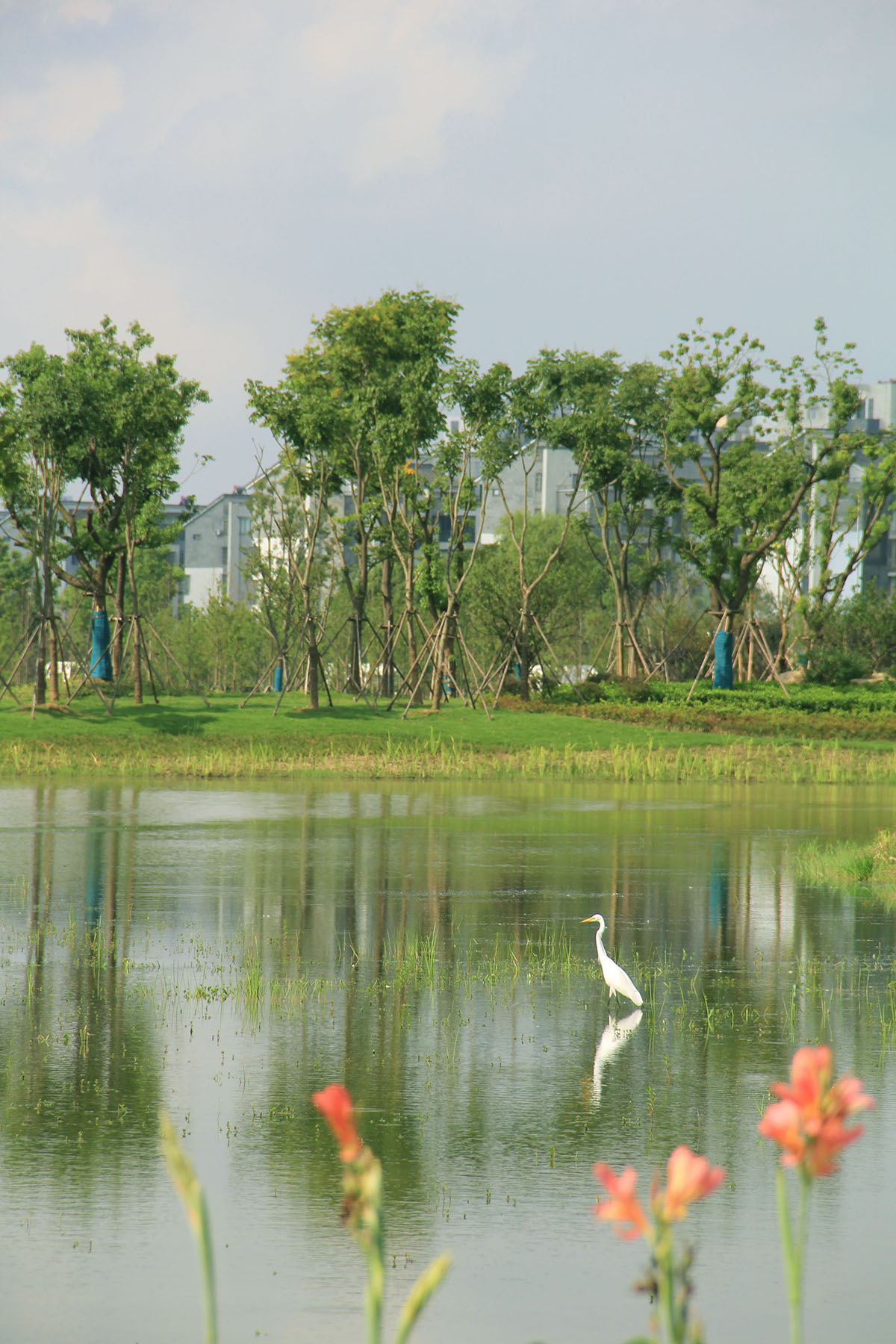 1689210445599484.jpg IMG_2831.JPG