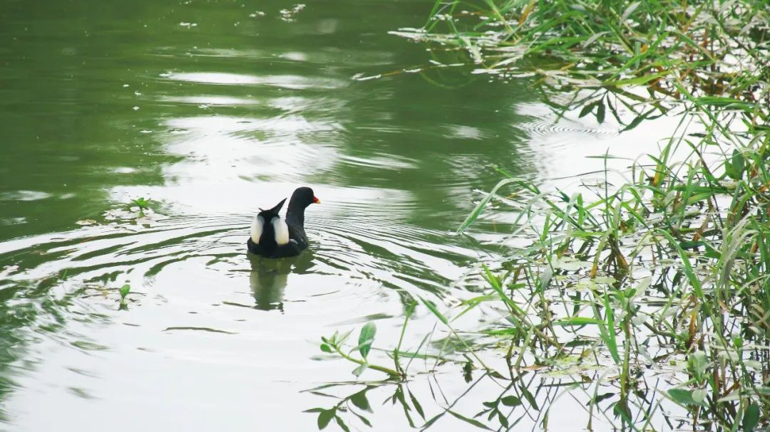 1711593395508650.jpg 640 (5).jpg