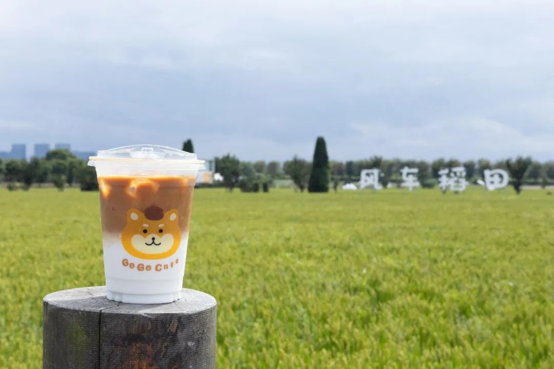 1712540736960804.jpg 640 (8).jpg