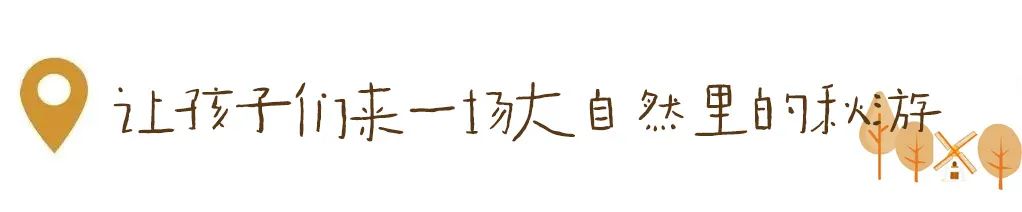 1712541491962861.jpg 640 (15).jpg